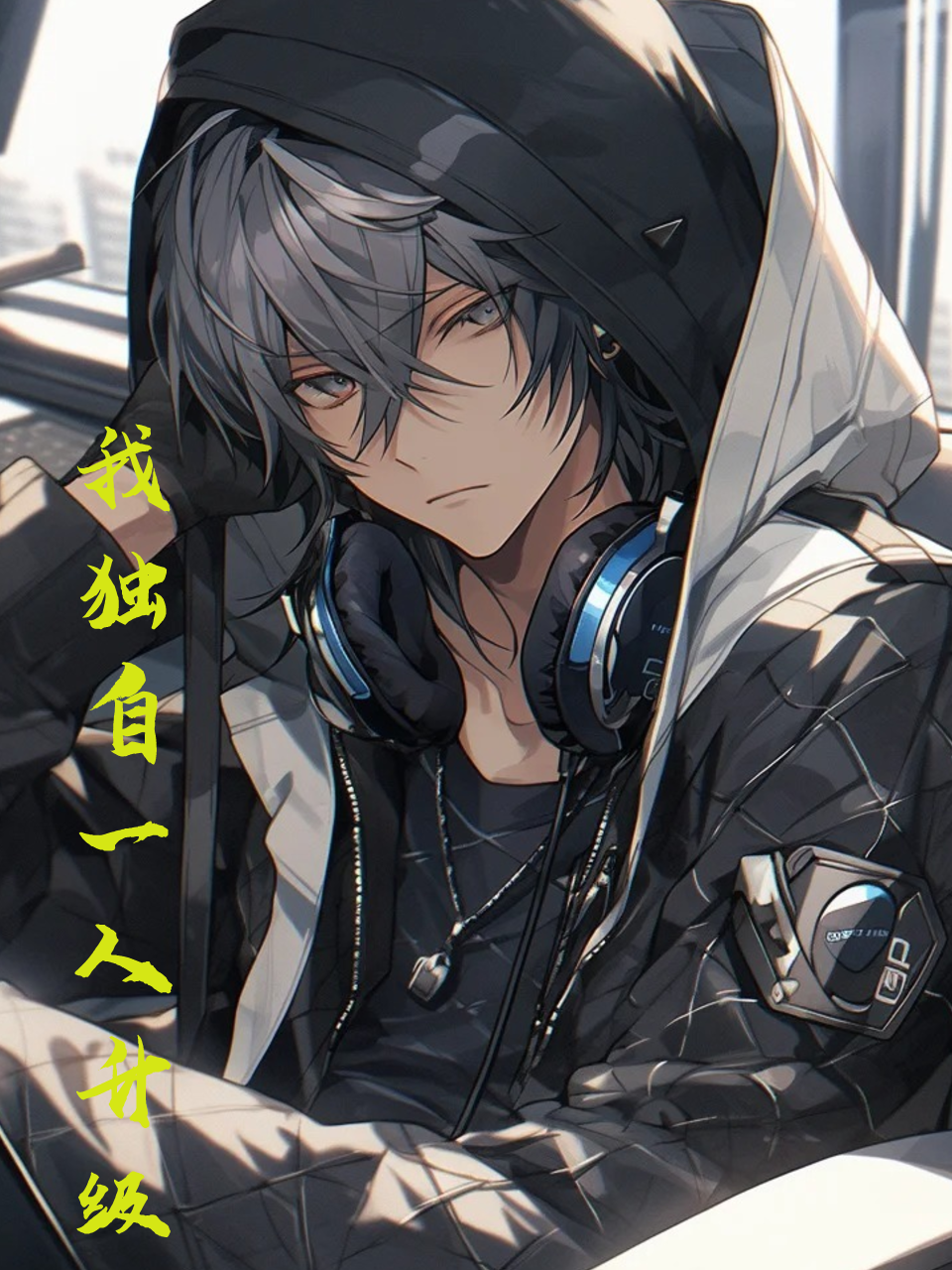 我独自一人升级