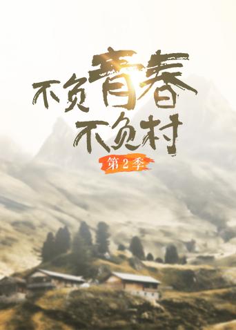 不负青春不负村2