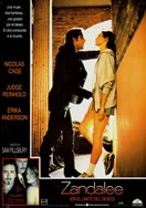 污污污视频免费看