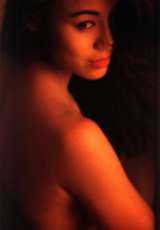 金花瓶楷梅花2正片