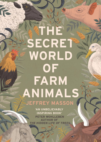 不能犯规的游戏之午夜来电